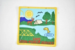 1993 Boy Scouts of America USDA Forest Service Patch - Picture 1 of 2
