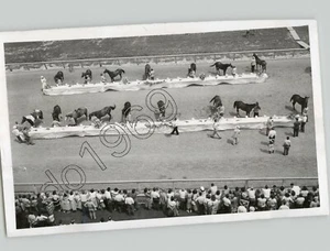 RACEHORSES Eat BUFFET @ CLEVELAND’s RANDALL PARK TRACK Extravagante Foto de Prensa 1950 - Imagen 1 de 2