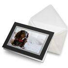 Greetings Card (Black) - Brown Long Haired Dachshund Dog  #44475