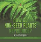 How Do Non-Seed Plants Reproduce? A Lesson on Spores Life Cycls Grade 5 Child...