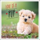 Love is a Pup: A Dog-Tastic Celebration of the World's Cutest Puppies by Charlie