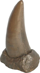 T-Rex Dinosaur Tooth Jurassic Age Polished Bronze Finish Replica Fossil - Picture 1 of 1