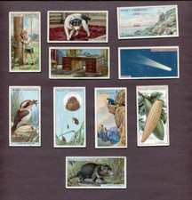 1926 W.D. & H.O. WILLS TOBACCO DO YOU KNOW 3RD SERIES 10 COLLECTOR CARD LOT