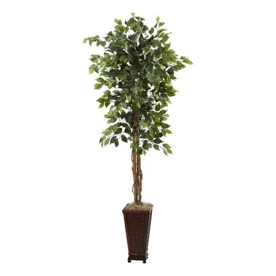 Ficus casi natural de 6,5 pies con maceta decorativa en verde Foto 1 de 4