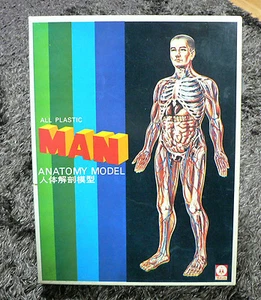 KIT MODELO HOMBRE ANATOMÍA TSUKUDA VINTAGE - Imagen 1 de 11