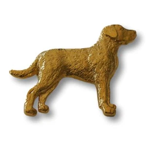 Chesapeake Bay Retriever Pin - 24K Gold Plated - Picture 1 of 2