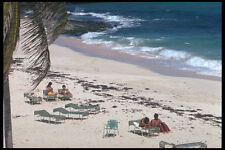 469023 Beach At The Hilton Hotel Barbados A4 Photo Print
