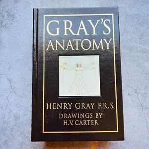 Gray's Anatomy Hardcover Buch von Henry Gray Barnes and Noble Edition 1995 - Bild 1 von 9