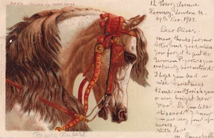 ANIMAL LIFE TUCK 548 - ARAB - HARRY PAYNE c1902 - Picture 1 of 1