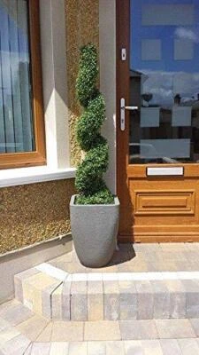 Outdoor Boxwood Spiral Topiary Tree - 4ft/120cm - By Best Artificial - Image 1 of 4