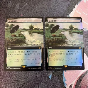 MTG Flooded Forest Zone 2 Sheets Foil Extended Art Japanese - Picture 1 of 1