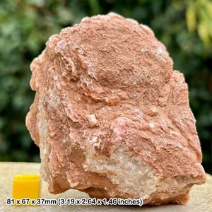 Rare Calcite Crystals in Vug - Sidmouth Mudstone Formation, Triassic, Sidmouth, - Picture 1 of 1