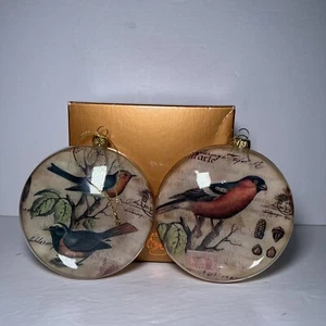 VTG Raz Imports Giftbox with 2 Bird Ornaments Rounded Disks Acrylic Old World - Picture 1 of 8