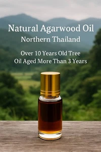 Agarwood Essential oil Chiang Mai-Chiang Rai Northern Thailand 100%pure 12cc A++ - Picture 1 of 7