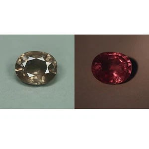 0.73 Cts_Extraordinary Change_100 % Natural Color Change Garnet_Srilanka - Foto 1 di 5