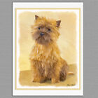 6 Cairn Terrier Dog Blank Art Note Greeting Cards