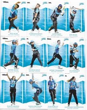 2023 / 24 Cricket Traders Luxe Team Set - Adelaide Strikers