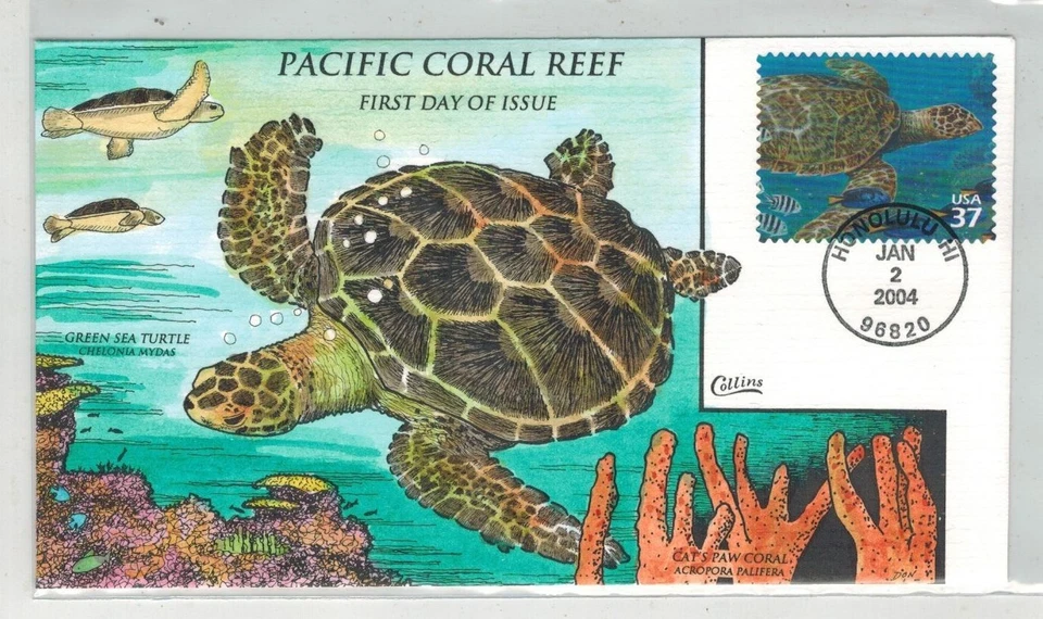 COLLINS HANDPAINTED HAWAII PACIFIC CORAL REEF GREEN SEA TURTLE CATS PAW CORAL - Image 1 of 1
