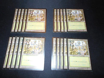 20 Basic Land - SAME ART - Forest - Mirage - MP-NM Condition - Magic MTG FTG - Image 1 of 2