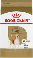 royal canin junior beagle