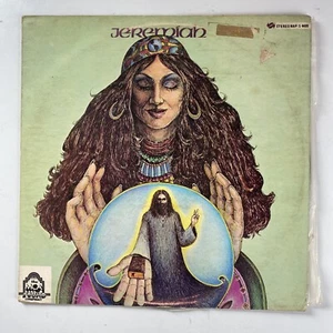Disco Jeremiah, Autotitulado (MCA, MAPS4409) 12" LP 33 RPM, Rock, Pop - Imagen 1 de 9