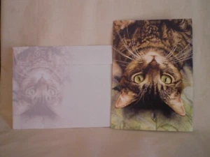 Geburtstag - Ein auf den Kopf gestelltes Kätzchen auf dem Cover - Bild 1 von 2