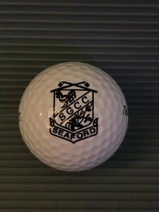 SGCC Seaford Top Flite Golf Ball - Picture 1 of 3