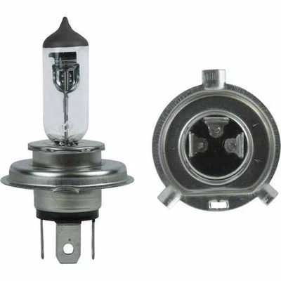 Bombillas P43t 12v 60/55w H4 nuevas para Suzuki TU 250 1998-2001 Foto 1 de 4