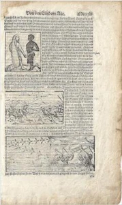 1578 - Monkeymen, Big-Eared People, and Giant Ants from Munster's Cosmographia - Picture 1 of 1