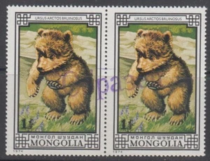 Specimen, Mongolia Sc794 Wildlife, Giant Brown Bear, Pair - Picture 1 of 1