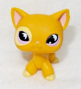LITTLEST PET SHOP LPS #855 HASBRO CAT CHAT EUROPEEN BEIGE ORANGE YEUX MAUVE - Picture 1 of 6