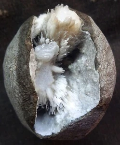 SCOLESITE SPRYSW/ EP-STILBITE IN GEODE MATRIX MINERALS SPECIMENS* - Picture 1 of 5