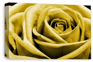 Floral Wall Art Mustard Living Room Bedroom Framed Canvas Picture Ready to Hang - Picture 1 of 6