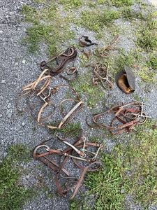 Lote surtido de bridas de cuero vintage para caballos - Imagen 1 de 12