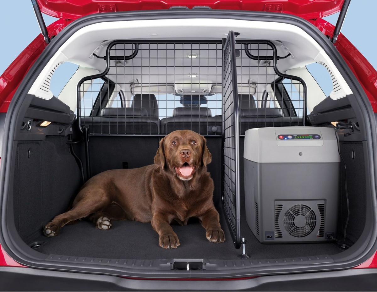 Rete Per Casco Moto 25x25cm - Con 6 Ganci Per Auto, Bici O Portapacchi - Foto 9