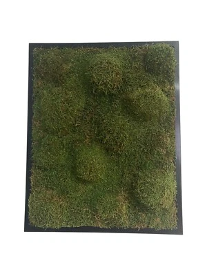 Moosbild Mooswand Moosdeko Moospanel Moosgipfel - Bild 1 von 3