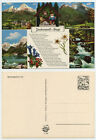 49755 - Zauberwald-Sage - Berchtesgadener Land - alte Ansichtskarte