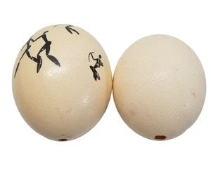 2 große Vogeleier ausgeblasen 1 bemalt ethnische Stammesdeko 3830 - Bild 1 von 10