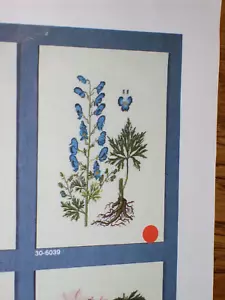 Eva Rosenstand WANDHÄNGUNG Kreuzstich Kit ~ MONKSHOOD ~ NEU ALTER LAGER - Bild 1 von 4