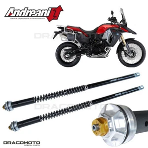 BMW F 800 GS - standard - 2013-2018 cartridge ANDREANI 105/W18E MISANO EVO - Picture 1 of 5