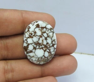 37.00 Cts Natural Wild Horse Gemstone Oval Cabochon Jewelry Making Cab 21x28x5mm - Picture 1 of 3