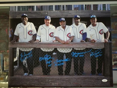 SMITH SANDBERG WILLIAMS DAWSON JENKINS SIGNED CUBS FIELD OF DREAMS 16X20 JSA COA - Image 1 of 3