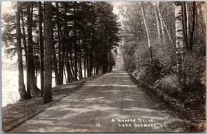Foto real de colección de 1920 LAKE DUNMORE, Vermont postal RPPC "Una Wooded Drive" - Imagen 1 de 2