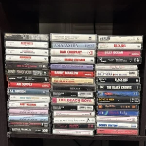 Lot Of 243 Music Cassettes Classic Rock Pop Rap UNTESTED - Foto 1 di 6
