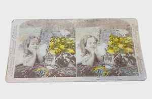 Antik 1898 Underwood Stereoview Weck dich faule Muschi Mädchen mit Katze handgetönt - Bild 1 von 3