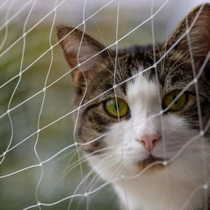 Pet Prime Cat Safety Net for Balcony Window Transparent Protective Net for Cats - Picture 1 of 9