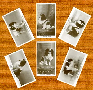 JAPANESE CHIN SET OF SIX NAMED DOG COLLECTABLE TRADE CARDS GREAT GIFT - Foto 1 di 1