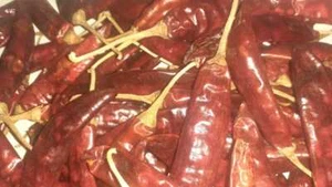 Dried Red Chili Pepper Pods 100% Organic Pure Ceylon Spices 8 oz Free Shipping - Picture 1 of 9