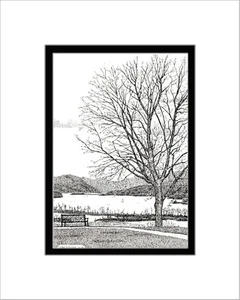 Bench at Boscobel Print, Note Card, Pen and Ink, Matted - Picture 1 of 7