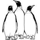 'King Penguins' Unmounted Rubber Stamp (RS029693)